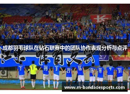 成都羽毛球队在钻石联赛中的团队协作表现分析与点评
