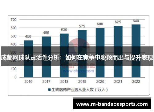 成都网球队灵活性分析：如何在竞争中脱颖而出与提升表现