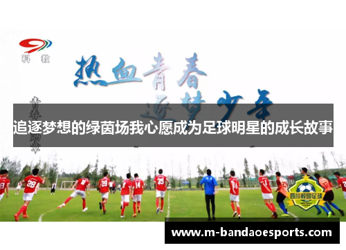 追逐梦想的绿茵场我心愿成为足球明星的成长故事